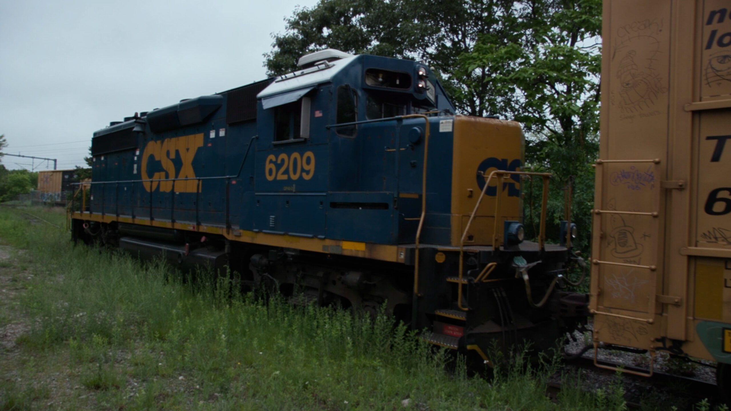 Train pushing cargo down tracks