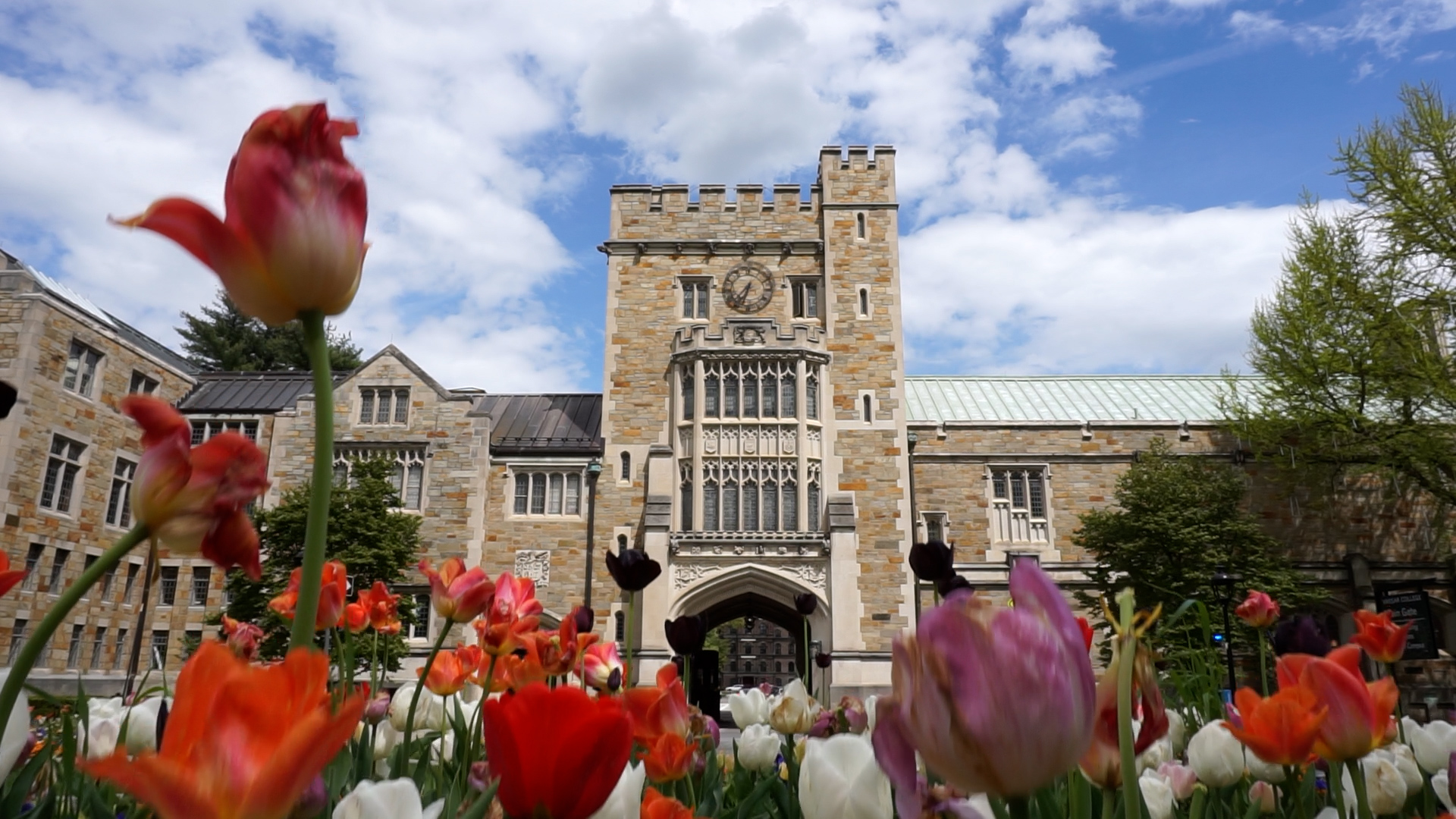 Scenic photo of Vassar College's front gate