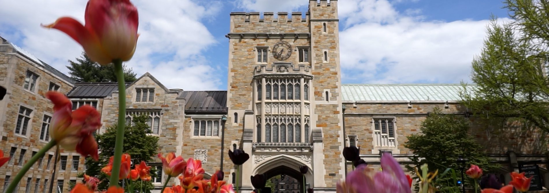 Scenic photo of Vassar College's front gate